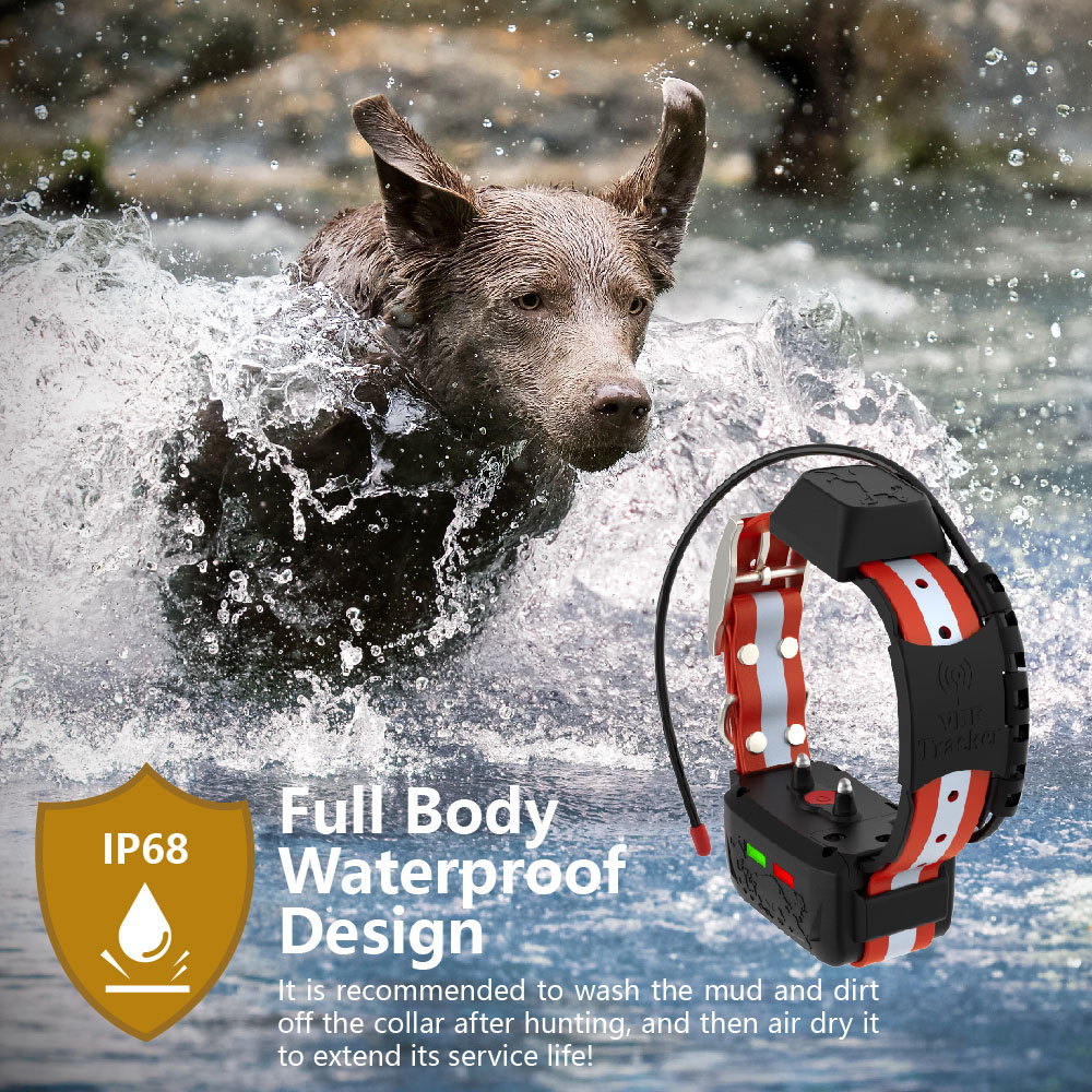 ESEEK – прямые поставки с заво – обзор и цена Outdoor Hunting Dog Supply