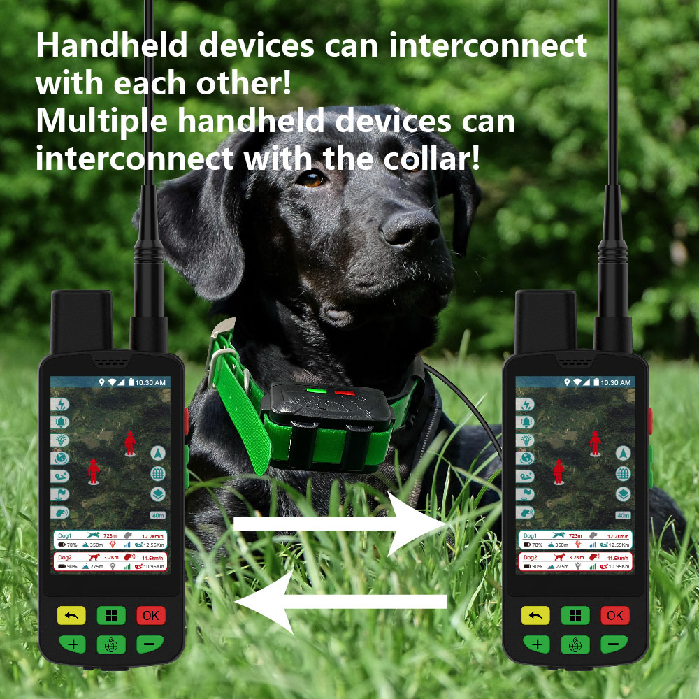 ESEEK – прямые поставки с заво – обзор и цена Outdoor Hunting Dog Supply